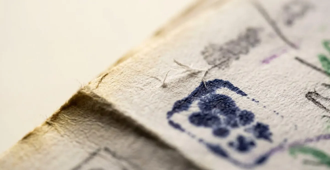 Vue macro de documents vétérinaires avec textures de papier médical dans une lumière naturelle douce